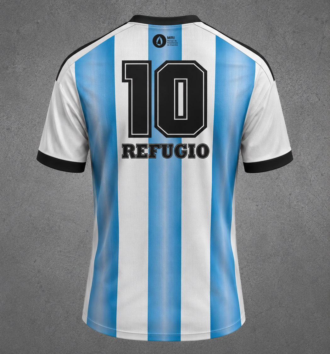 Camiseta Arg dorso